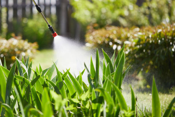 Tamper-Resistant Bait Stations for Rodents in Harris Hill
