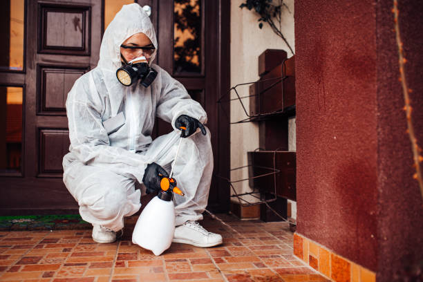 Attic and Crawl Space Rodent Treatment in Harris Hill